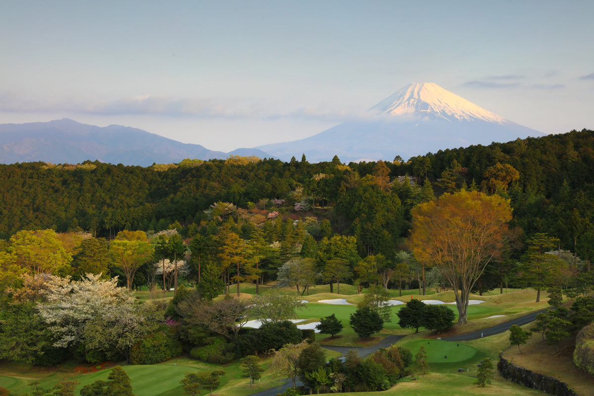 The Ultimate Guide to Buying Used Golf Clubs in Australia